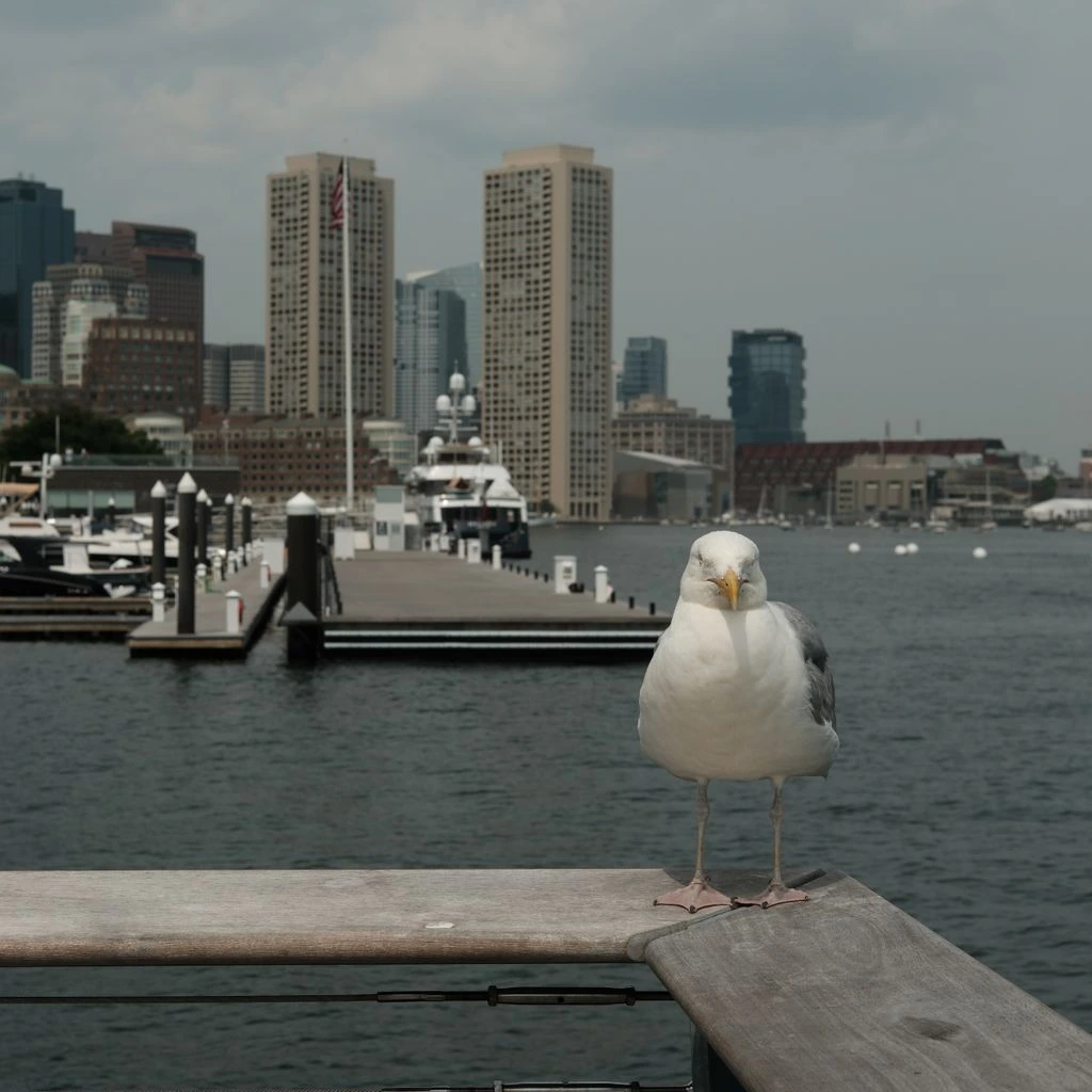 The harbor boardwalk leading back toward the salon